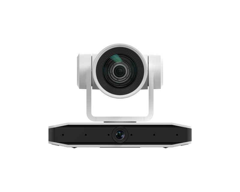 Reach Cam Voice REA490-12AI